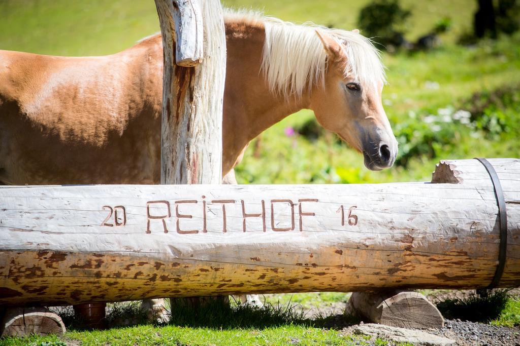 Almhof-Reithof Pitztal Hotel Sankt Leonhard im Pitztal Bagian luar foto